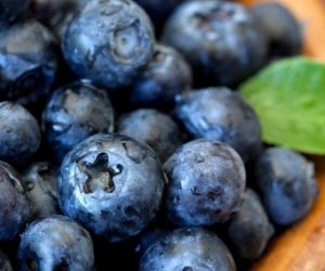 Blueberries, wild antioxidants