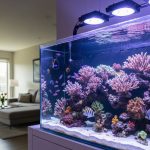 A vibrant saltwater aquarium with colorful tropical fish, live coral, and glowing LED lighting set up in a modern home living room
